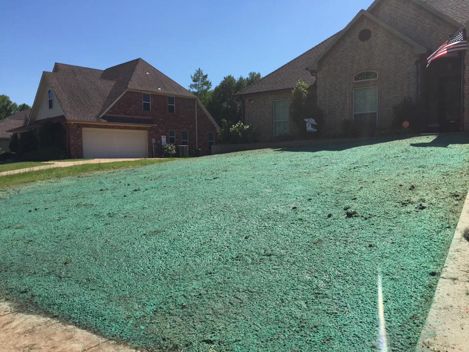Hydroseeding service
